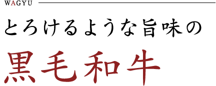 とろけるような旨味の黒毛和牛